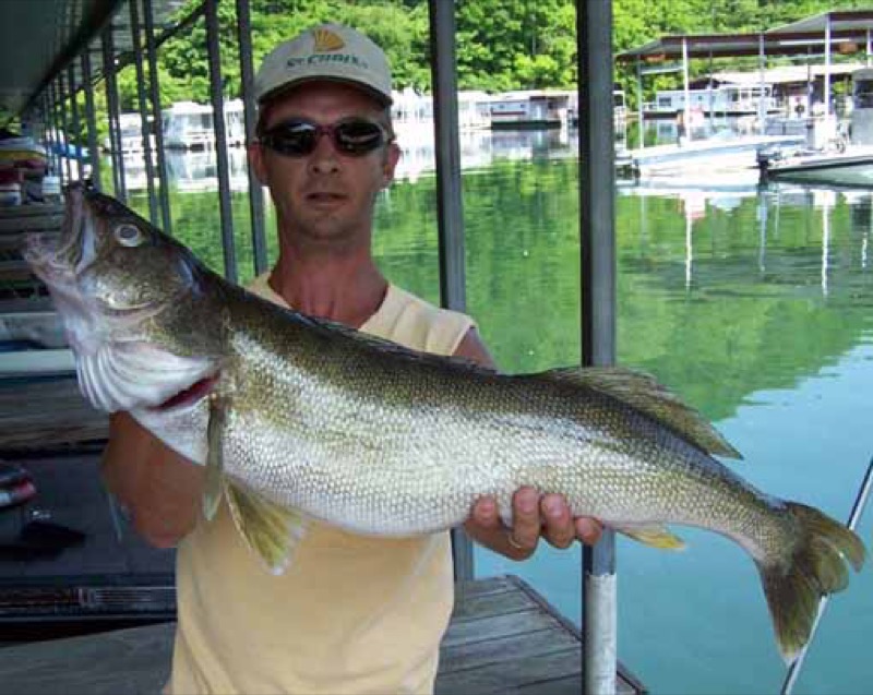 recent fishing reports dale hollow lake